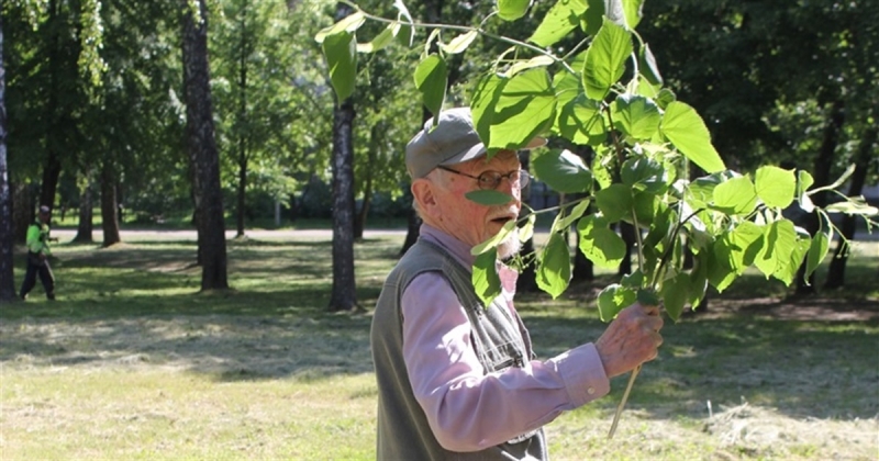 Мошки атакують. Як і чим рятуватися від летючого нашестя - розповідає лікарка з Корюківки