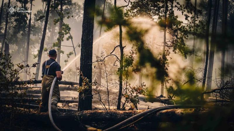 Меліорація, підтримка дитячих медичних закладів, реабілітація військових: Кіпер розповів подробиці зустрічі з французьким дипломатом