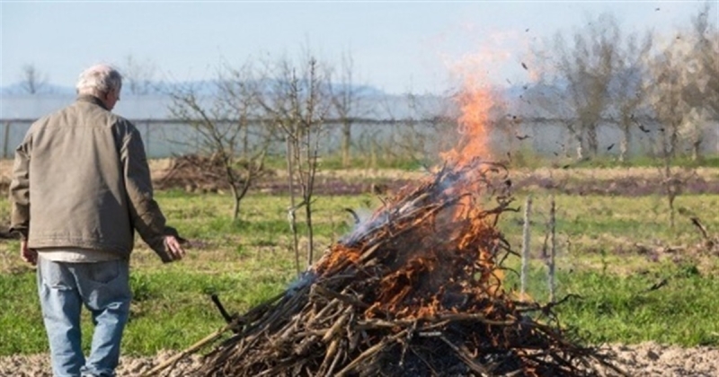 «Звертаюся до всіх, хто надумає палити на городі». Корюківчанка просить не спалювати рослинні рештки